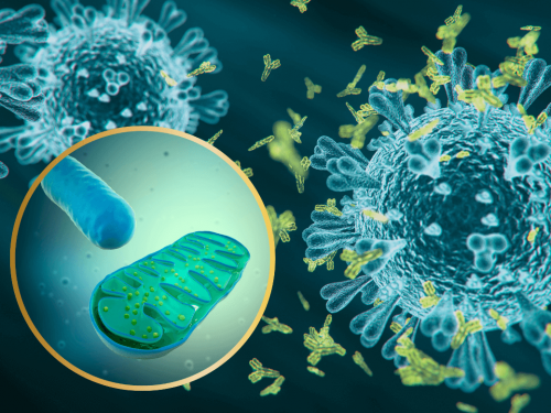 Post-Vac-Syndrom, Long Covid & Mitochondrien